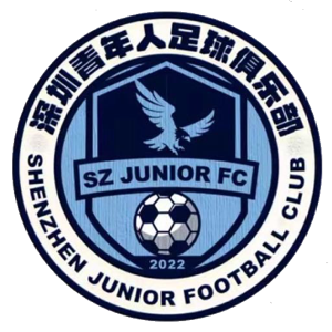 深圳青年人logo